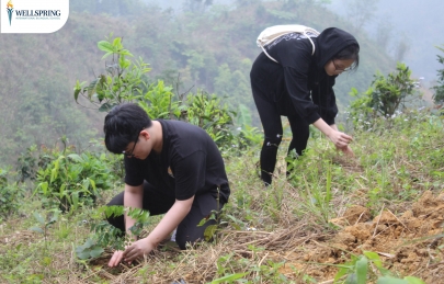 WISHer K9 thực hiện dự án 1000 cây xanh phủ trống đồi trọc tại Yên Bái